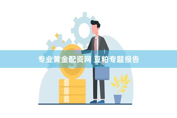 专业黄金配资网 豆粕专题报告