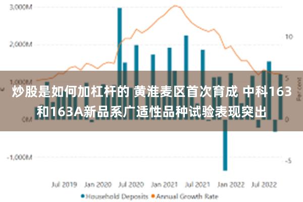 炒股是如何加杠杆的 黄淮麦区首次育成 中科163和163A新品系广适性品种试验表现突出