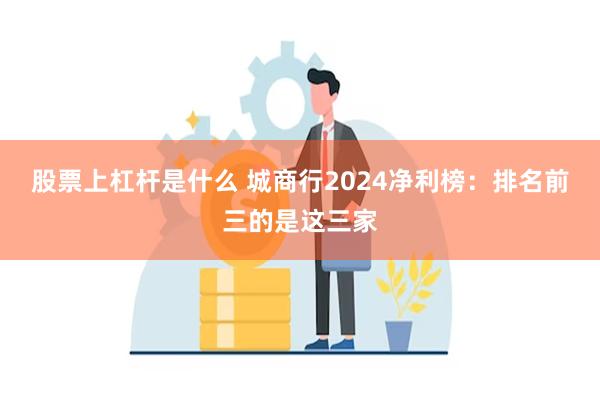 股票上杠杆是什么 城商行2024净利榜：排名前三的是这三家