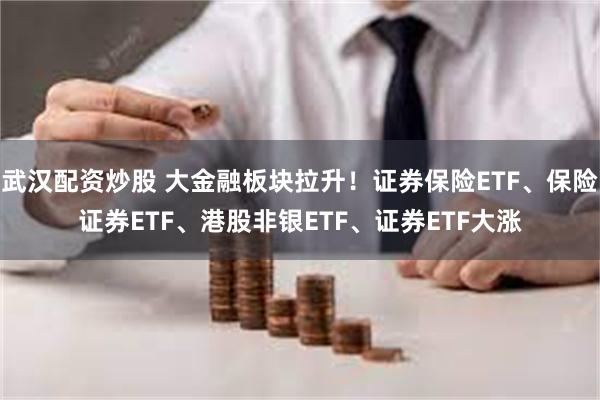 武汉配资炒股 大金融板块拉升！证券保险ETF、保险证券ETF、港股非银ETF、证券ETF大涨