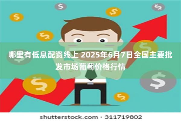 哪里有低息配资线上 2025年6月7日全国主要批发市场葡萄价格行情