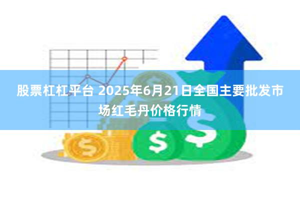 股票杠杠平台 2025年6月21日全国主要批发市场红毛丹价格行情