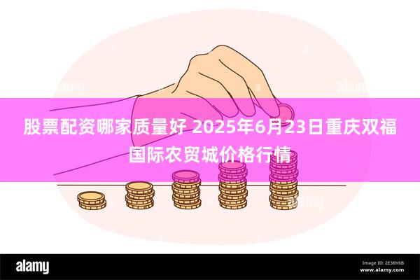 股票配资哪家质量好 2025年6月23日重庆双福国际农贸城价格行情