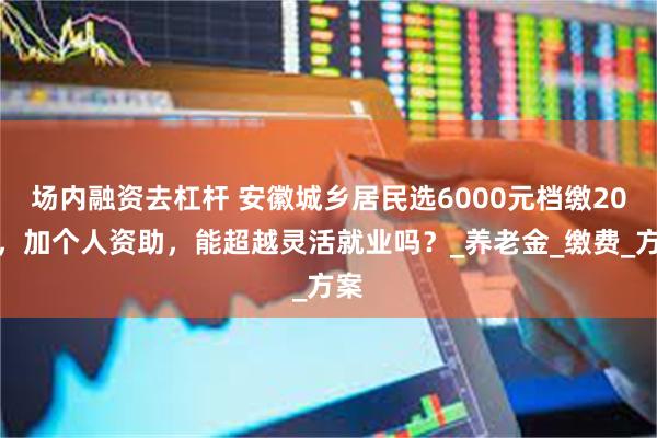 场内融资去杠杆 安徽城乡居民选6000元档缴20年，加个人资助，能超越灵活就业吗？_养老金_缴费_方案