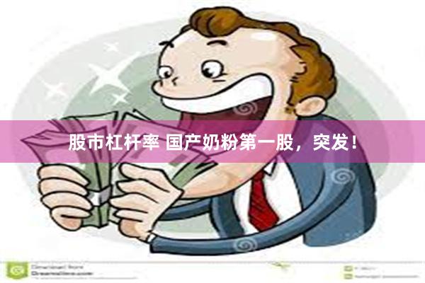 股市杠杆率 国产奶粉第一股，突发！