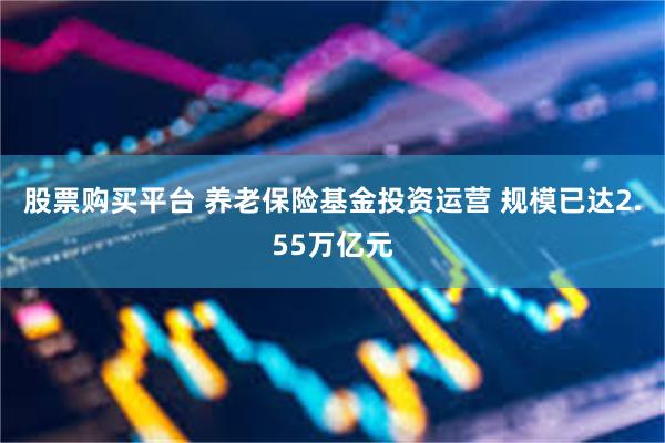 股票购买平台 养老保险基金投资运营 规模已达2.55万亿元