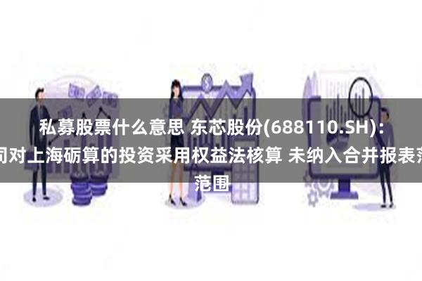 私募股票什么意思 东芯股份(688110.SH)：公司对上海砺算的投资采用权益法核算 未纳入合并报表范围