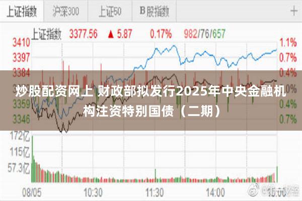 炒股配资网上 财政部拟发行2025年中央金融机构注资特别国债（二期）