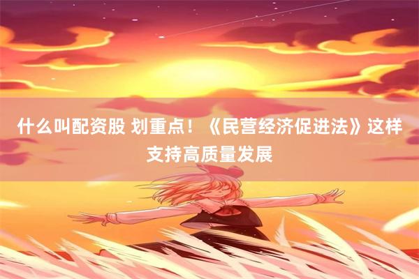 什么叫配资股 划重点！《民营经济促进法》这样支持高质量发展