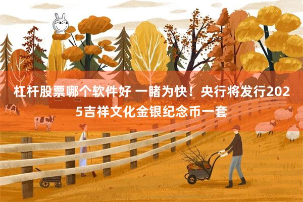 杠杆股票哪个软件好 一睹为快！央行将发行2025吉祥文化金银纪念币一套