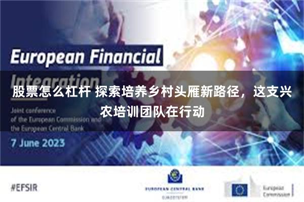 股票怎么杠杆 探索培养乡村头雁新路径，这支兴农培训团队在行动