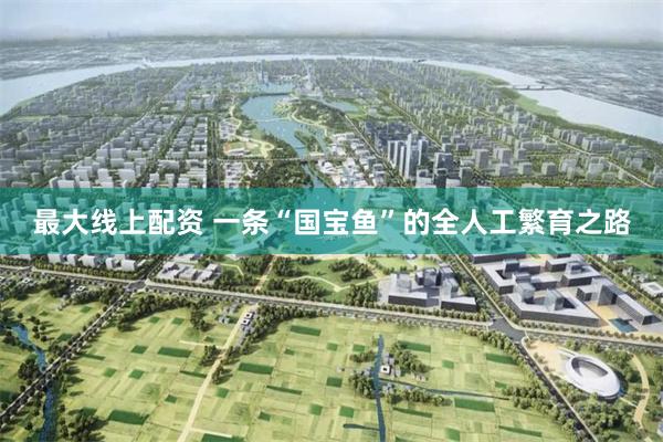 最大线上配资 一条“国宝鱼”的全人工繁育之路