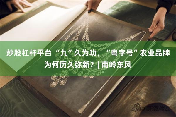 炒股杠杆平台 “九”久为功，“粤字号”农业品牌为何历久弥新？| 南岭东风