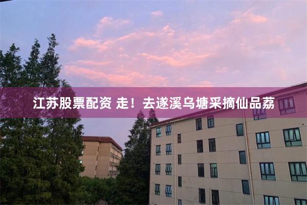 江苏股票配资 走！去遂溪乌塘采摘仙品荔