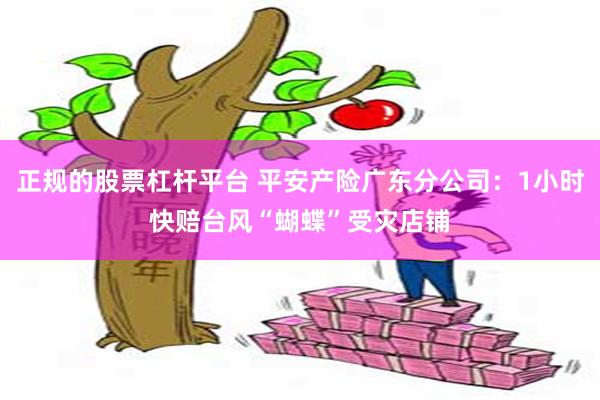 正规的股票杠杆平台 平安产险广东分公司：1小时快赔台风“蝴蝶”受灾店铺