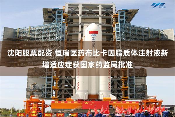 沈阳股票配资 恒瑞医药布比卡因脂质体注射液新增适应症获国家药监局批准