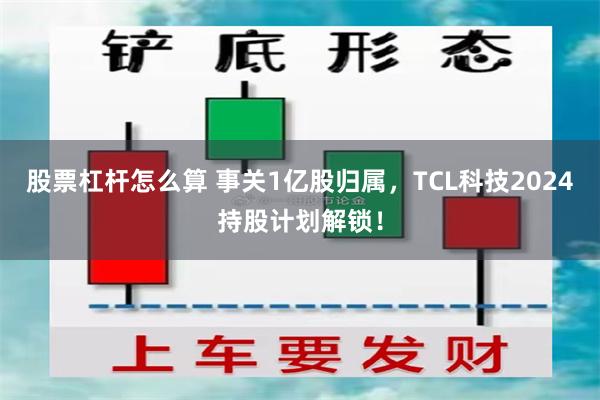 股票杠杆怎么算 事关1亿股归属，TCL科技2024持股计划解锁！
