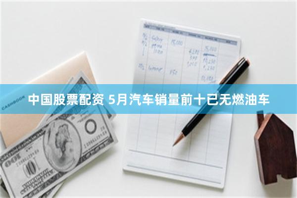 中国股票配资 5月汽车销量前十已无燃油车