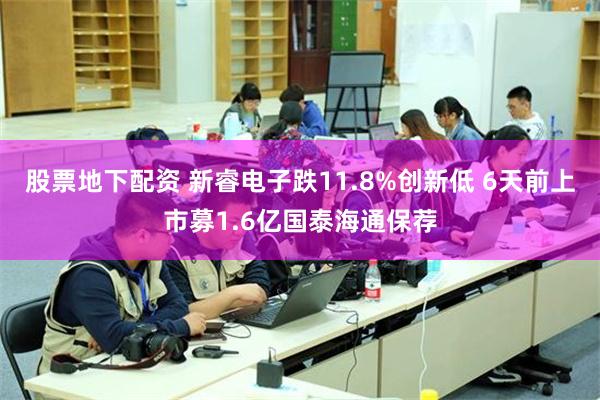 股票地下配资 新睿电子跌11.8%创新低 6天前上市募1.6亿国泰海通保荐