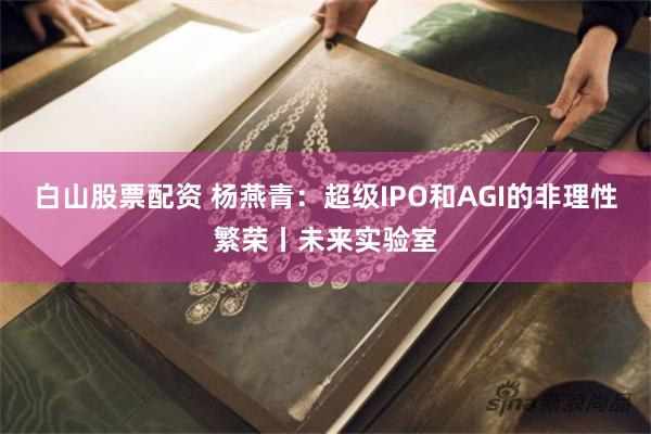 白山股票配资 杨燕青：超级IPO和AGI的非理性繁荣丨未来实验室