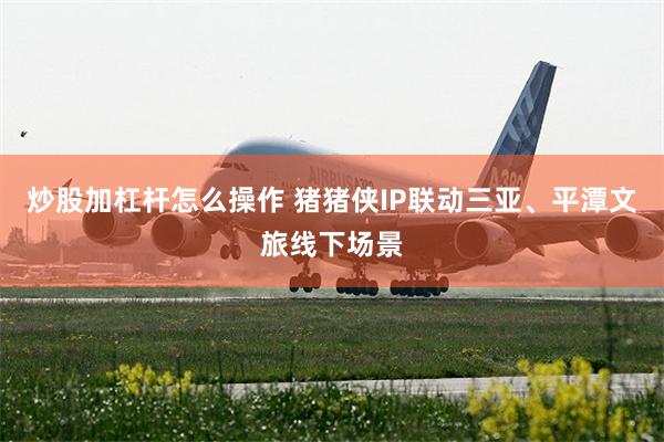 炒股加杠杆怎么操作 猪猪侠IP联动三亚、平潭文旅线下场景