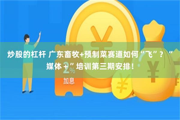 炒股的杠杆 广东畜牧+预制菜赛道如何“飞”？“媒体＋”培训第三期安排！