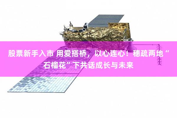 股票新手入市 用爱搭桥，以心连心！穗疏两地“石榴花”下共话成长与未来