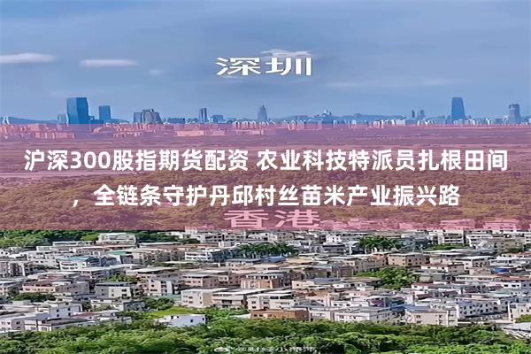 沪深300股指期货配资 农业科技特派员扎根田间，全链条守护丹邱村丝苗米产业振兴路