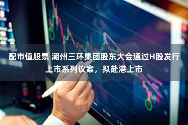 配市值股票 潮州三环集团股东大会通过H股发行上市系列议案，拟赴港上市
