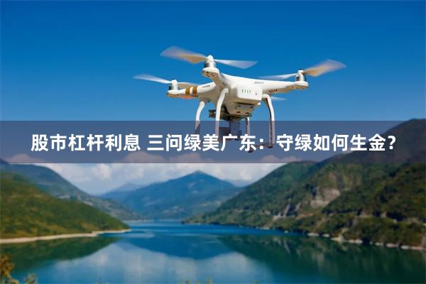 股市杠杆利息 三问绿美广东：守绿如何生金？