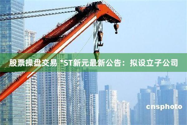 股票操盘交易 *ST新元最新公告：拟设立子公司