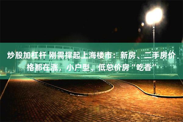炒股加杠杆 刚需撑起上海楼市：新房、二手房价格都在涨，小户型、低总价房“吃香”