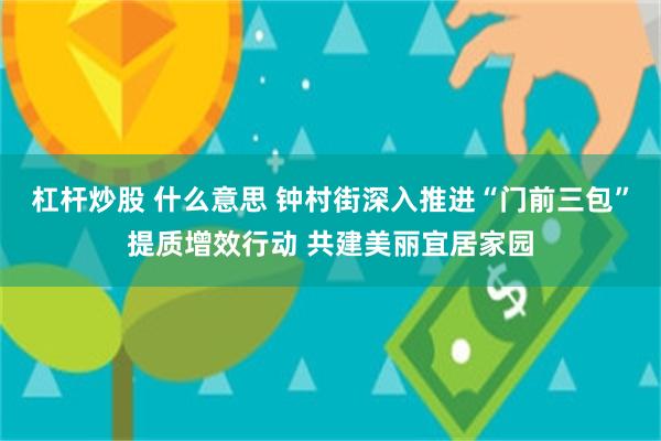 杠杆炒股 什么意思 钟村街深入推进“门前三包”提质增效行动 共建美丽宜居家园