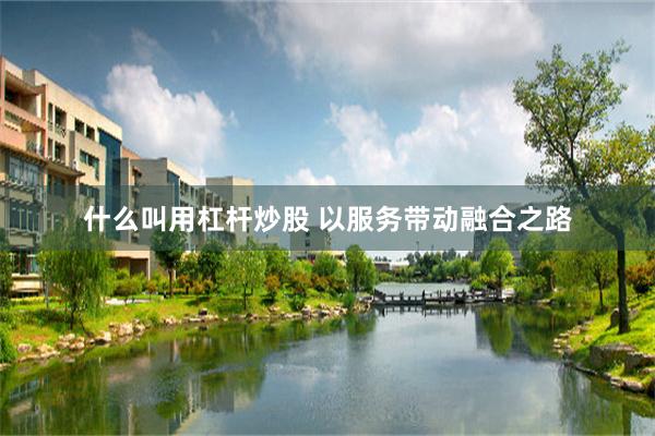什么叫用杠杆炒股 以服务带动融合之路