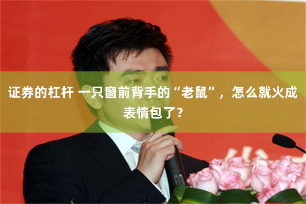 证券的杠杆 一只窗前背手的“老鼠”，怎么就火成表情包了？