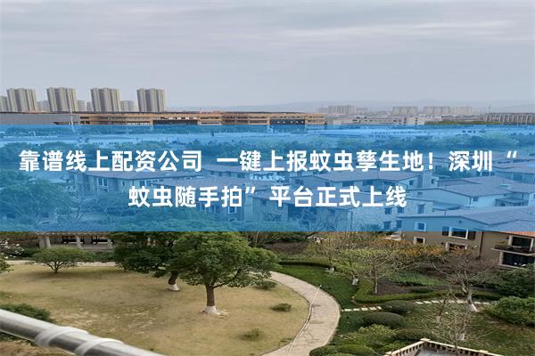 靠谱线上配资公司  一键上报蚊虫孳生地！深圳 “蚊虫随手拍” 平台正式上线