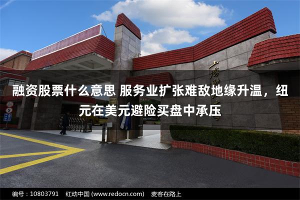 融资股票什么意思 服务业扩张难敌地缘升温，纽元在美元避险买盘中承压
