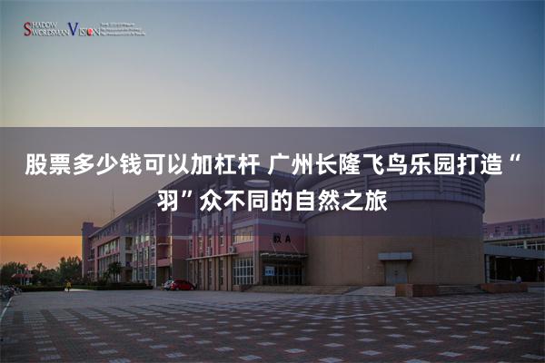 股票多少钱可以加杠杆 广州长隆飞鸟乐园打造“羽”众不同的自然之旅