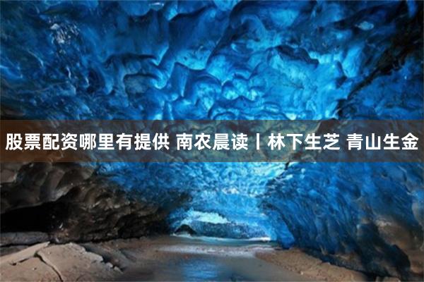 股票配资哪里有提供 南农晨读丨林下生芝 青山生金