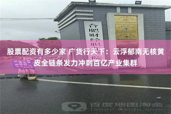 股票配资有多少家 广货行天下：云浮郁南无核黄皮全链条发力冲刺百亿产业集群