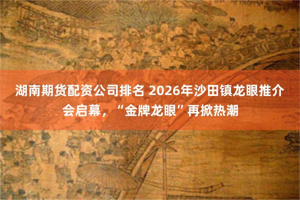 湖南期货配资公司排名 2026年沙田镇龙眼推介会启幕，“金牌龙眼”再掀热潮
