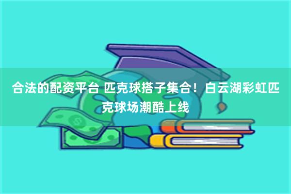 合法的配资平台 匹克球搭子集合！白云湖彩虹匹克球场潮酷上线