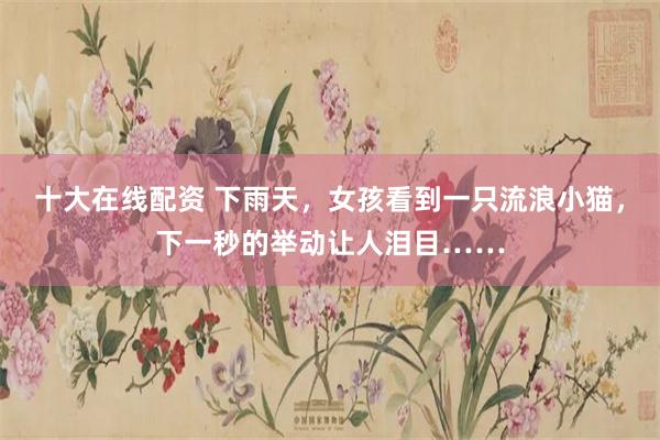 十大在线配资 下雨天，女孩看到一只流浪小猫，下一秒的举动让人泪目……