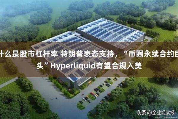 什么是股市杠杆率 特朗普表态支持，“币圈永续合约巨头”Hyperliquid有望合规入美