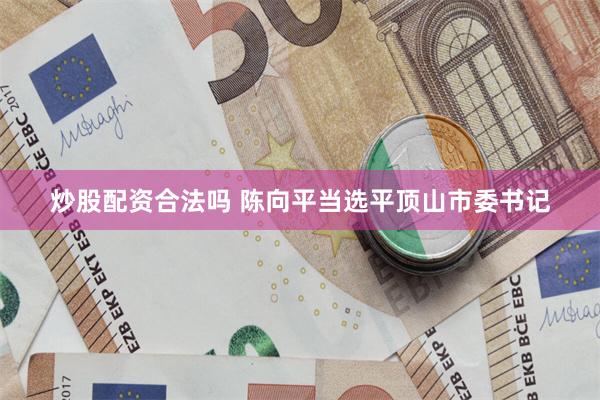 炒股配资合法吗 陈向平当选平顶山市委书记