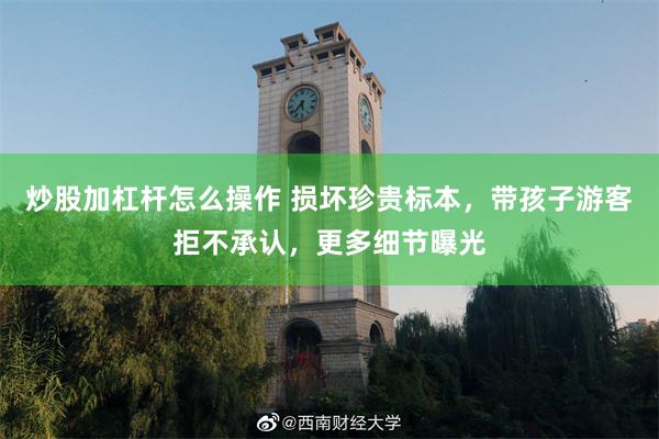 炒股加杠杆怎么操作 损坏珍贵标本，带孩子游客拒不承认，更多细节曝光