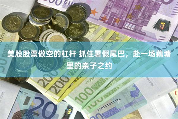 美股股票做空的杠杆 抓住暑假尾巴，赴一场藕塘里的亲子之约