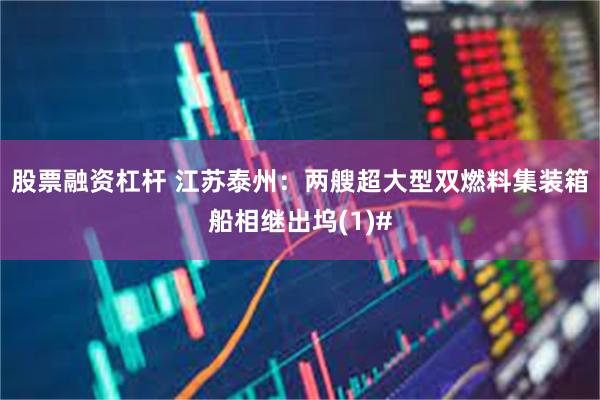 股票融资杠杆 江苏泰州：两艘超大型双燃料集装箱船相继出坞(1)#