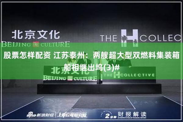 股票怎样配资 江苏泰州：两艘超大型双燃料集装箱船相继出坞(3)#