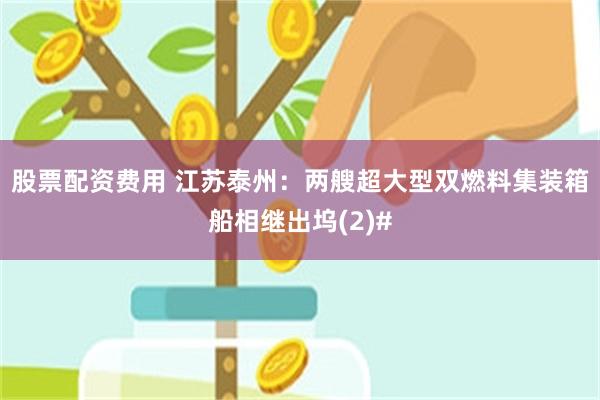 股票配资费用 江苏泰州：两艘超大型双燃料集装箱船相继出坞(2)#